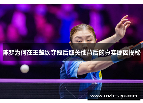 陈梦为何在王楚钦夺冠后取关他背后的真实原因揭秘