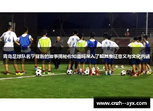 青岛足球队名字背后的故事揭秘你知道吗深入了解其象征意义与文化内涵