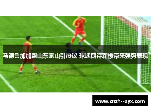 马德鲁加加盟山东泰山引热议 球迷期待新援带来强势表现 马德鲁加加盟山东泰山引热议 球迷期待新援带来强势表现