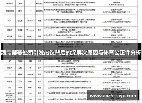 魏震禁赛处罚引发热议背后的深层次原因与体育公正性分析 魏震禁赛处罚引发热议背后的深层次原因与体育公正性分析